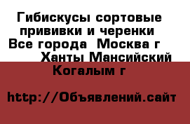 Гибискусы сортовые, прививки и черенки - Все города, Москва г.  »    . Ханты-Мансийский,Когалым г.